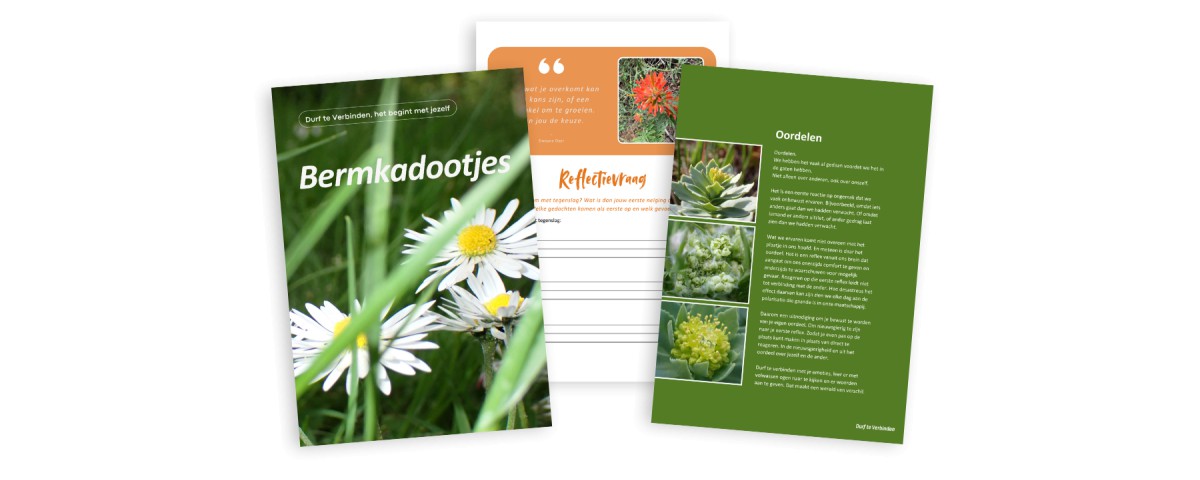 E-mailserie 'Bermkadootjes' E-mailserie 'Bermkadootjes'