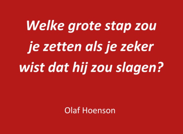 Wat als het misgaat? Wat als het misgaat?