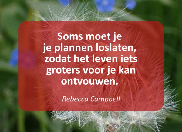 Oefening | Oogsten, loslaten en verbinden Oefening | Oogsten, loslaten en verbinden